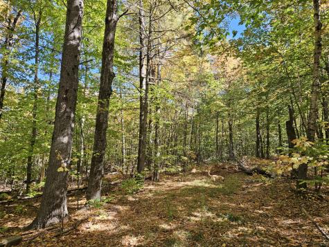 0 Canton Mountain Road Canton ME 04221