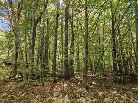 0 Canton Mountain Road Canton ME 04221