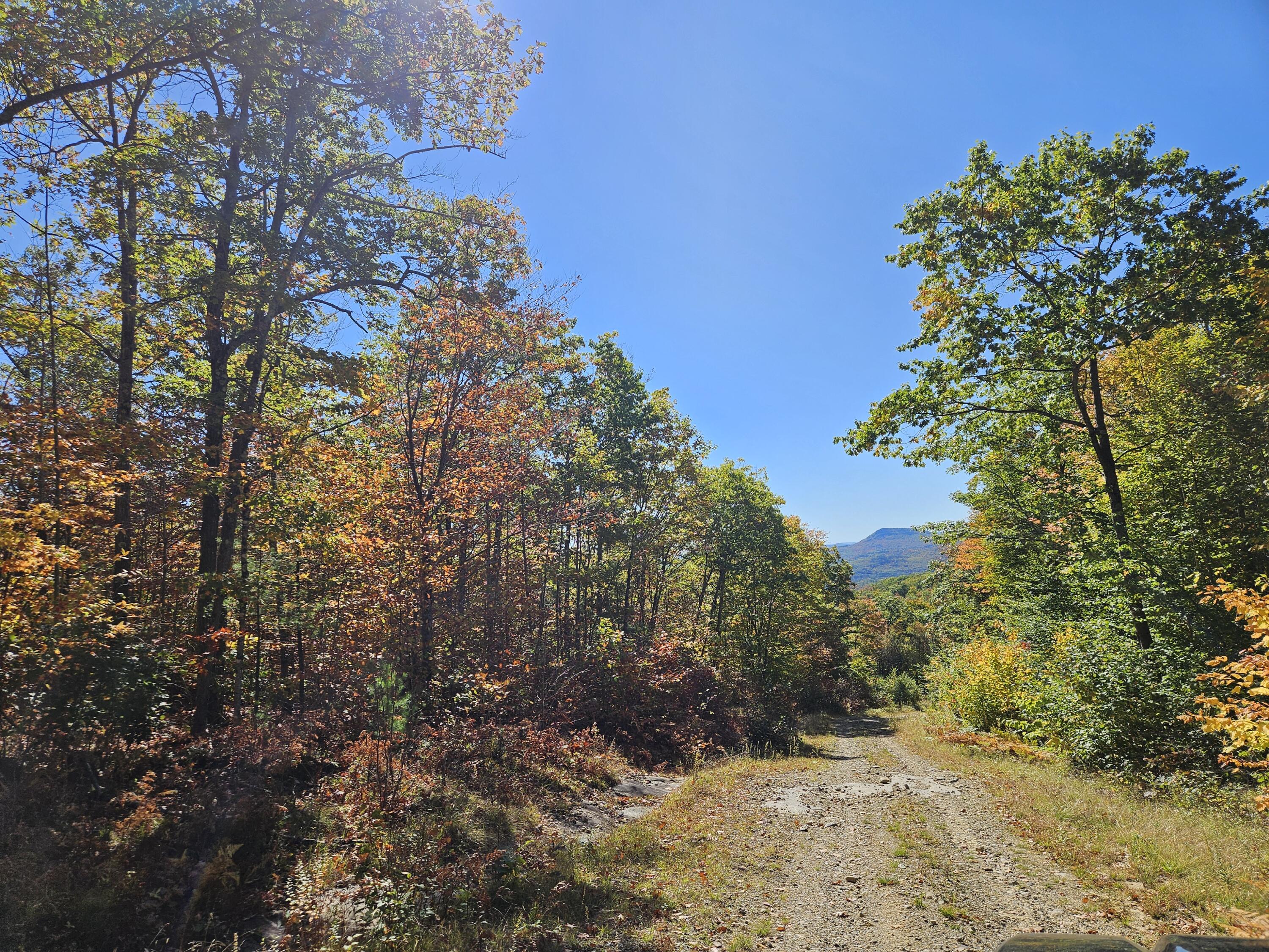 0 Canton Mountain Road Canton ME 04221