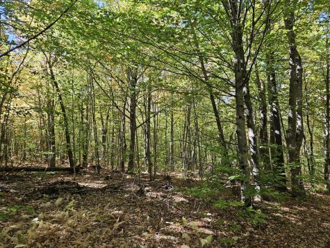 0 Canton Mountain Road Canton ME 04221