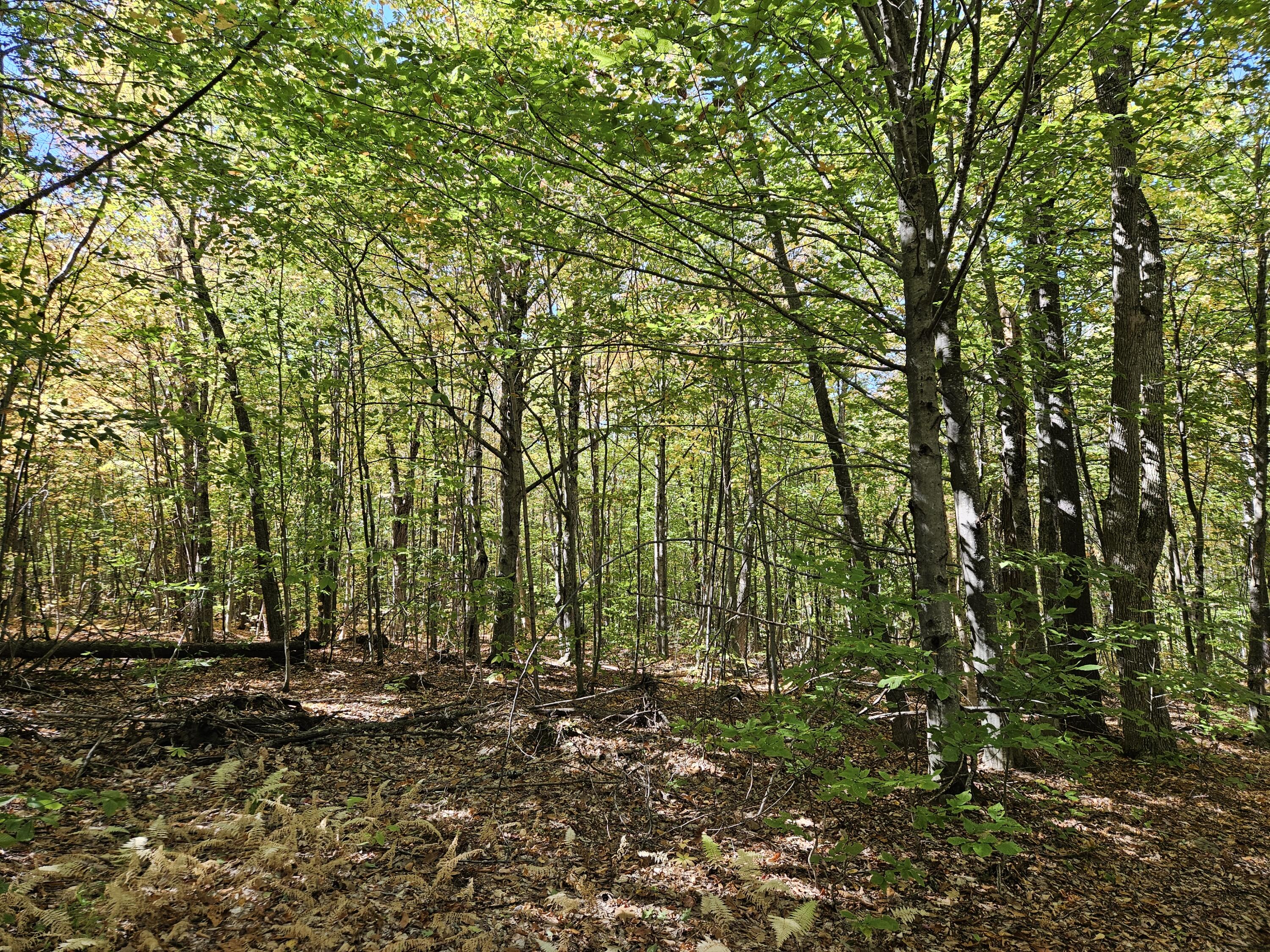 0 Canton Mountain Road Canton ME 04221