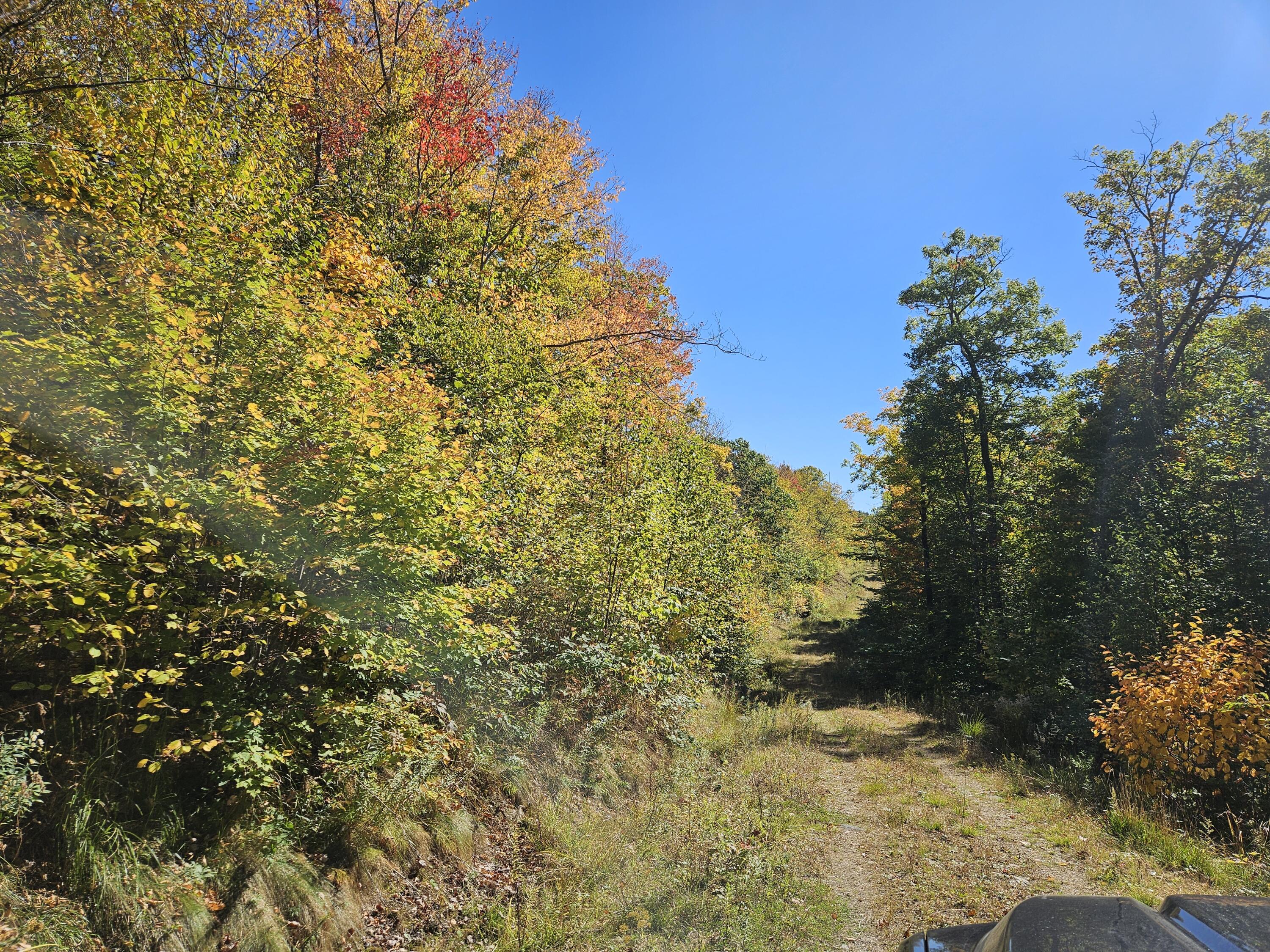 0 Canton Mountain Road Canton ME 04221