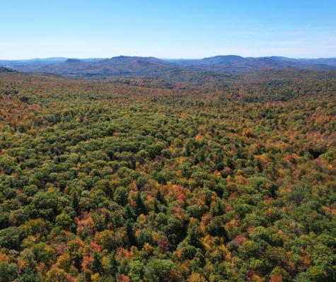 0 Canton Mountain Road Canton ME 04221