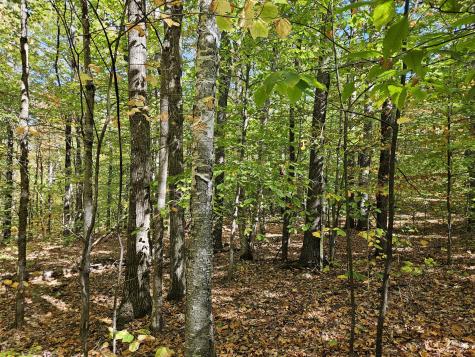 0 Canton Mountain Road Canton ME 04221