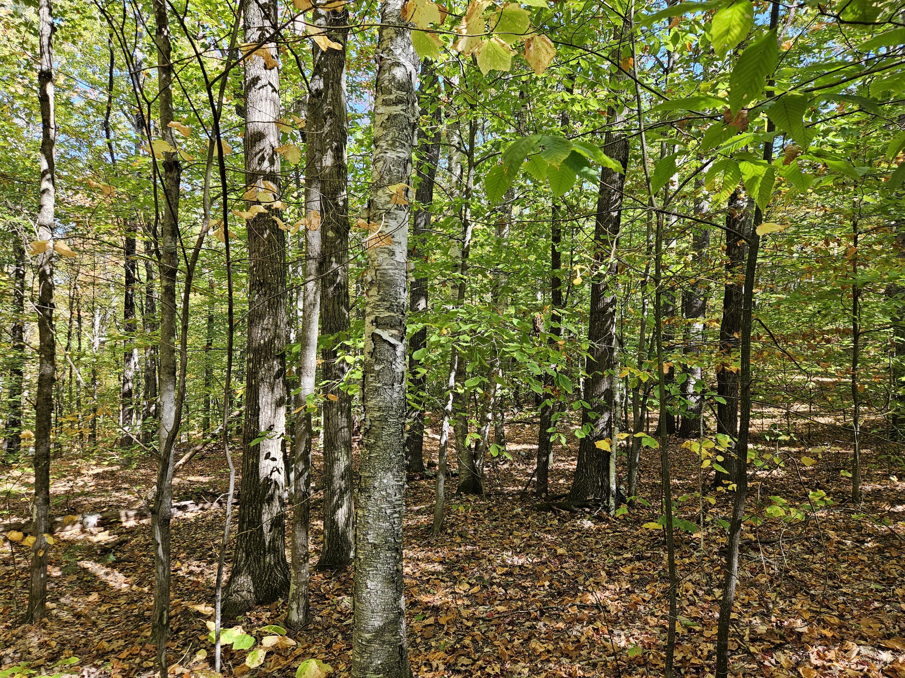 0 Canton Mountain Road Canton ME 04221