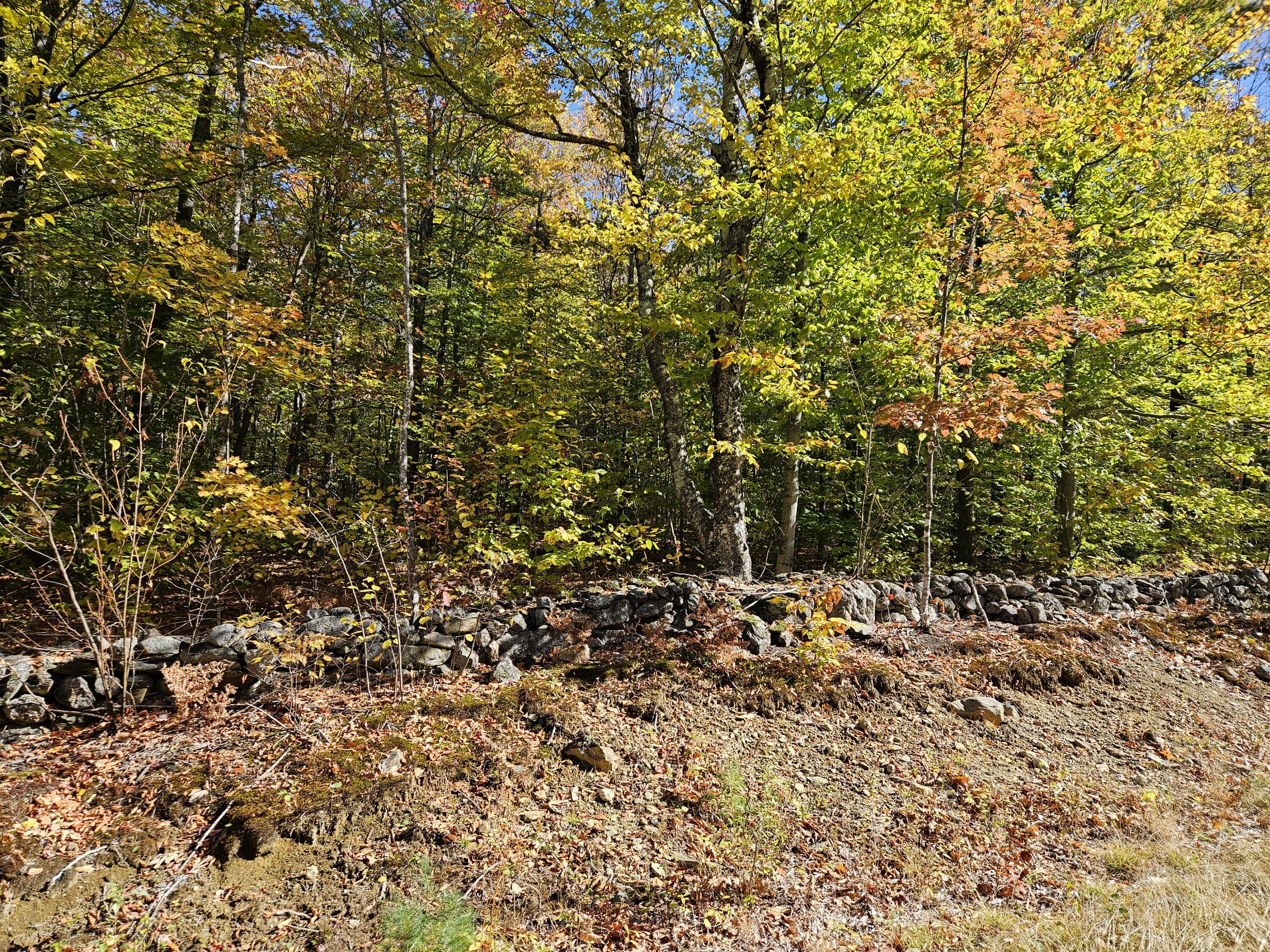 0 Canton Mountain Road Canton ME 04221