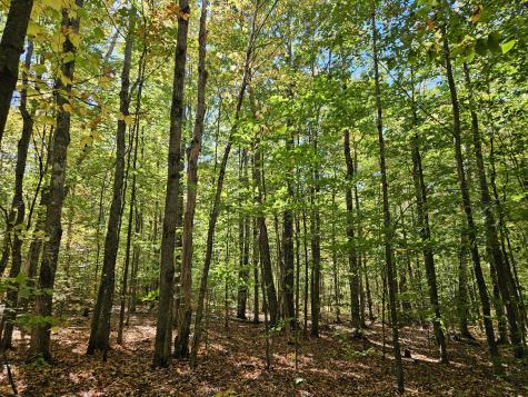 0 Canton Mountain Road Canton ME 04221