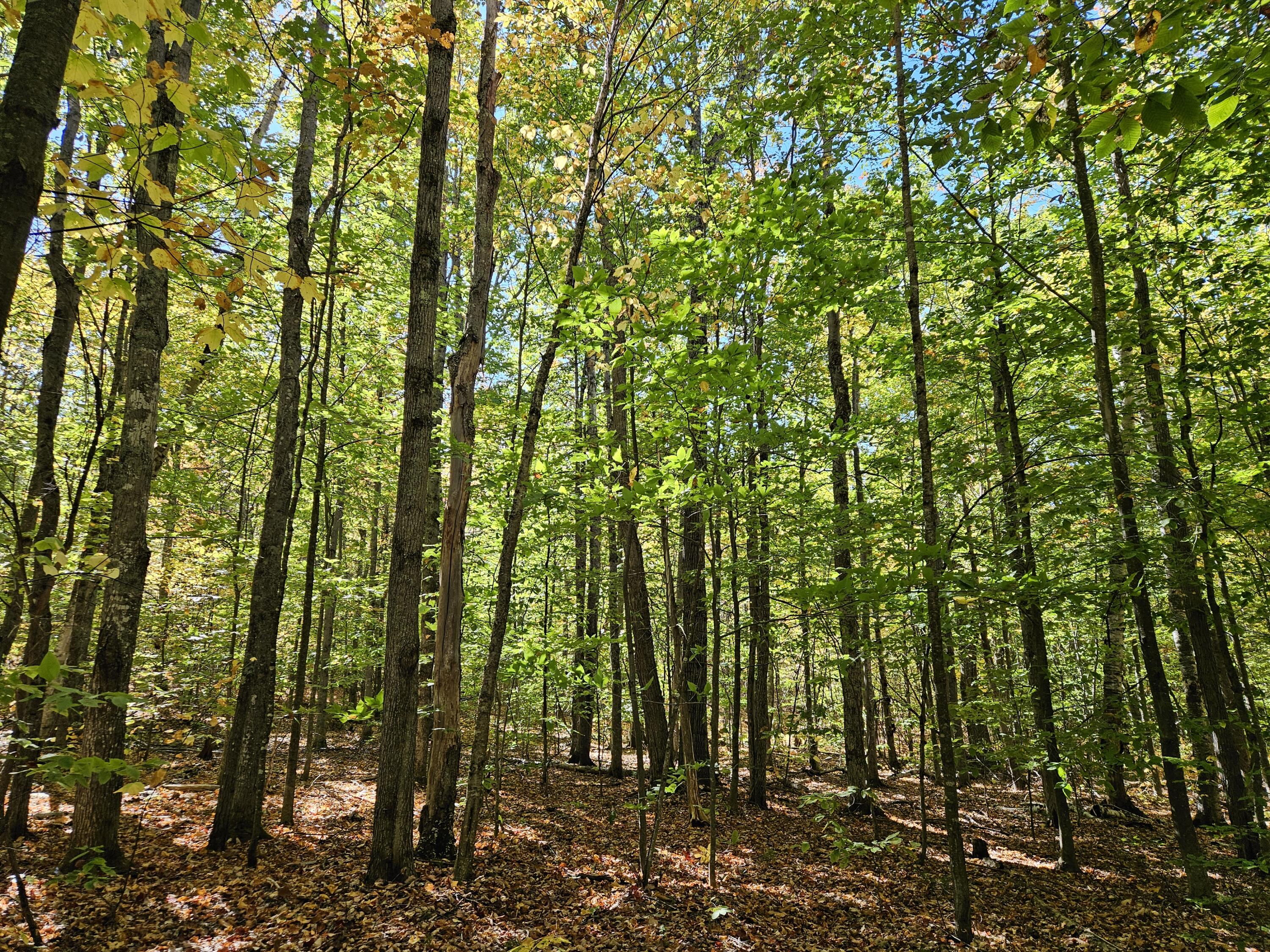 0 Canton Mountain Road Canton ME 04221