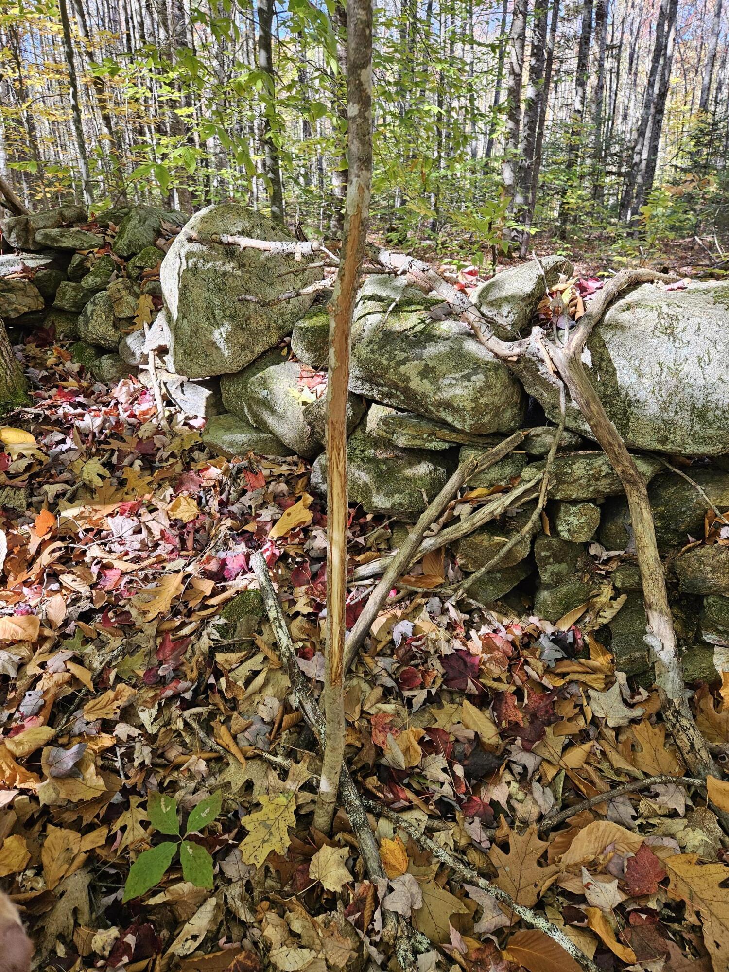 0 Canton Mountain Road Canton ME 04221