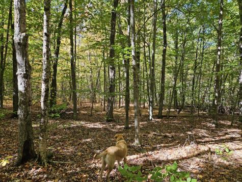 0 Canton Mountain Road Canton ME 04221