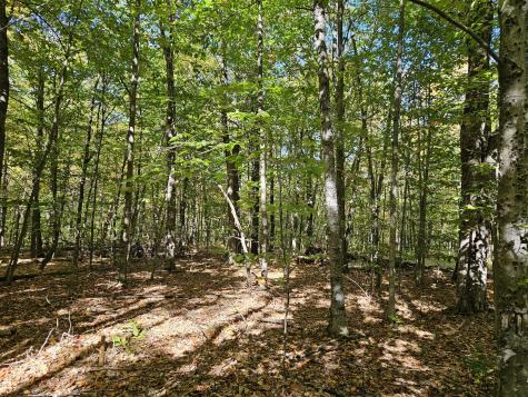 0 Canton Mountain Road Canton ME 04221