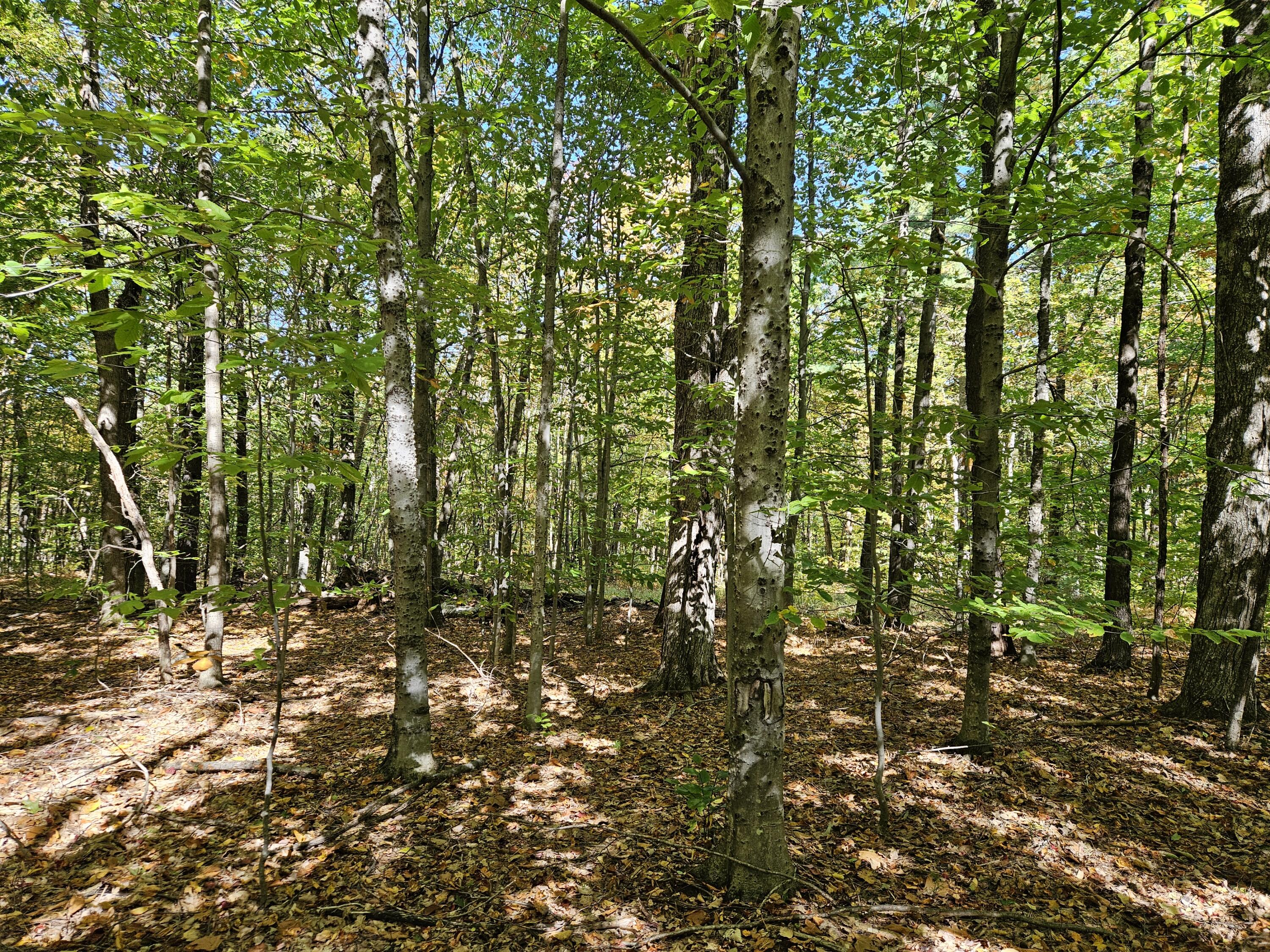 0 Canton Mountain Road Canton ME 04221