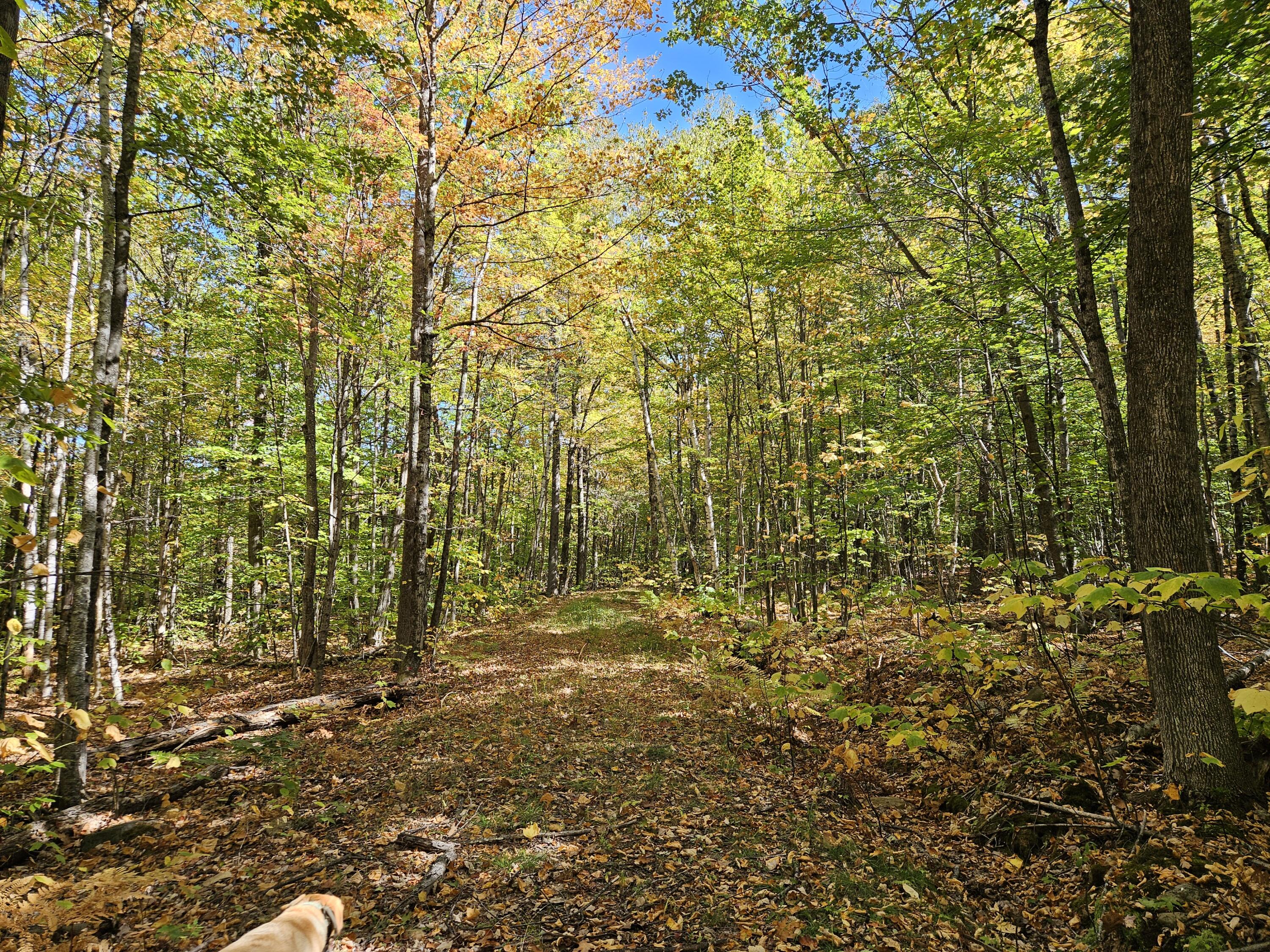 0 Canton Mountain Road Canton ME 04221