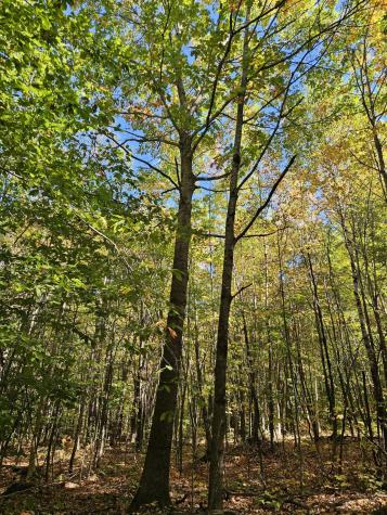 0 Canton Mountain Road Canton ME 04221