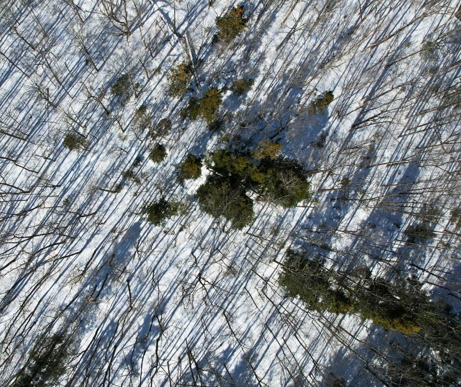 0 Canton Mountain Road Canton ME 04221