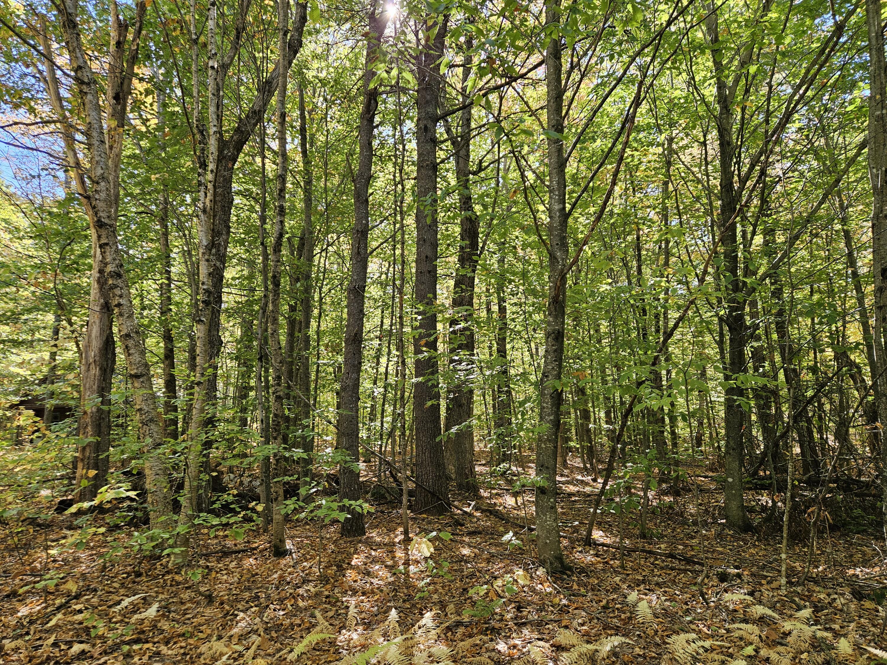 0 Canton Mountain Road Canton ME 04221