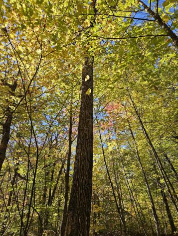 0 Canton Mountain Road Canton ME 04221