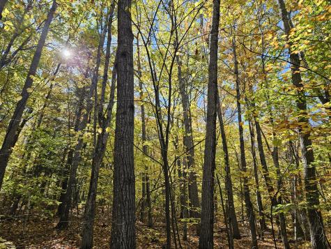 0 Canton Mountain Road Canton ME 04221