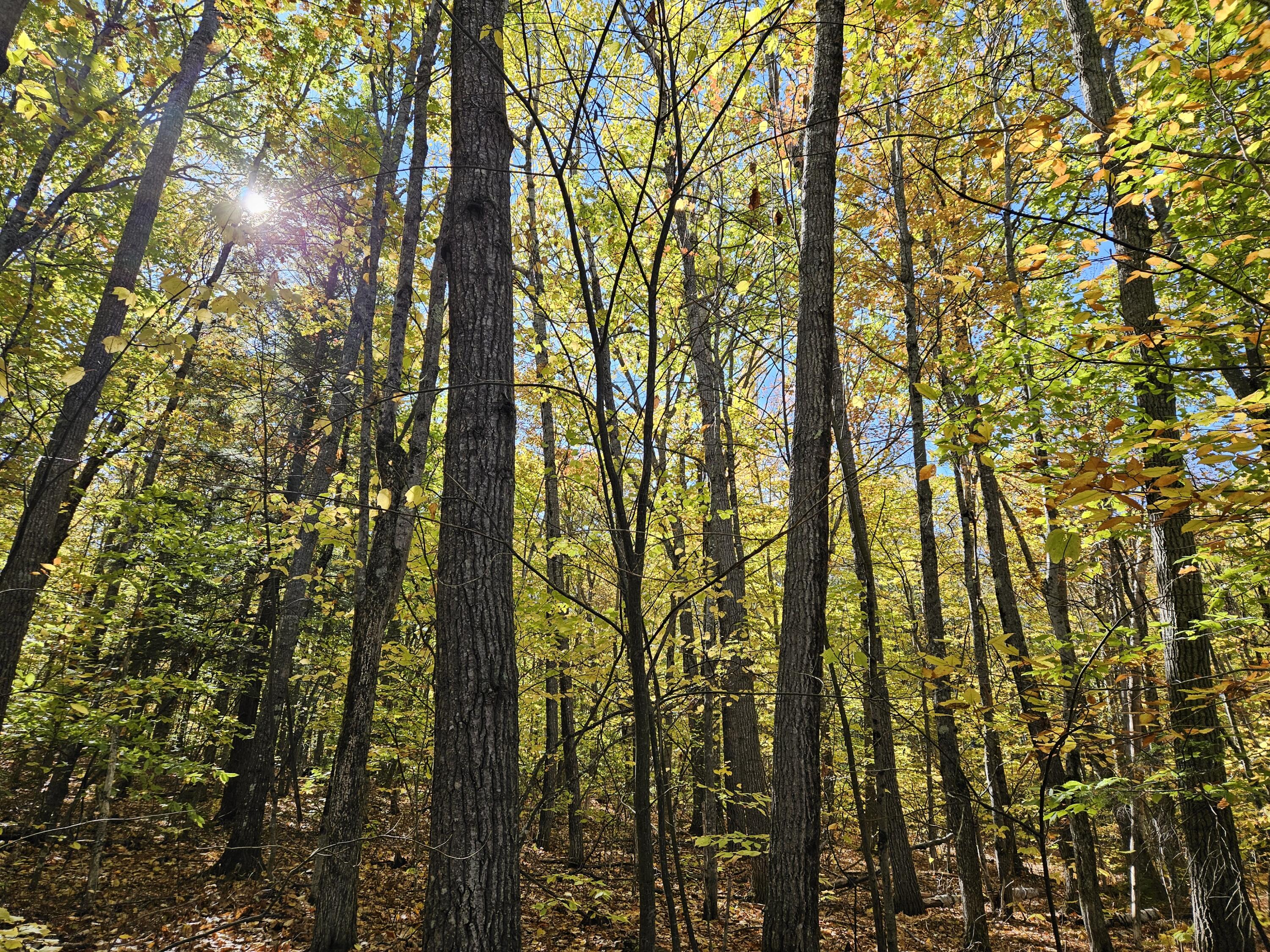 0 Canton Mountain Road Canton ME 04221