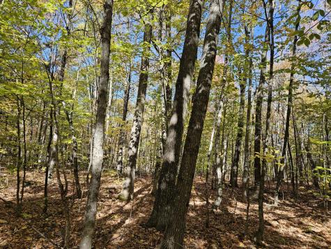 0 Canton Mountain Road Canton ME 04221