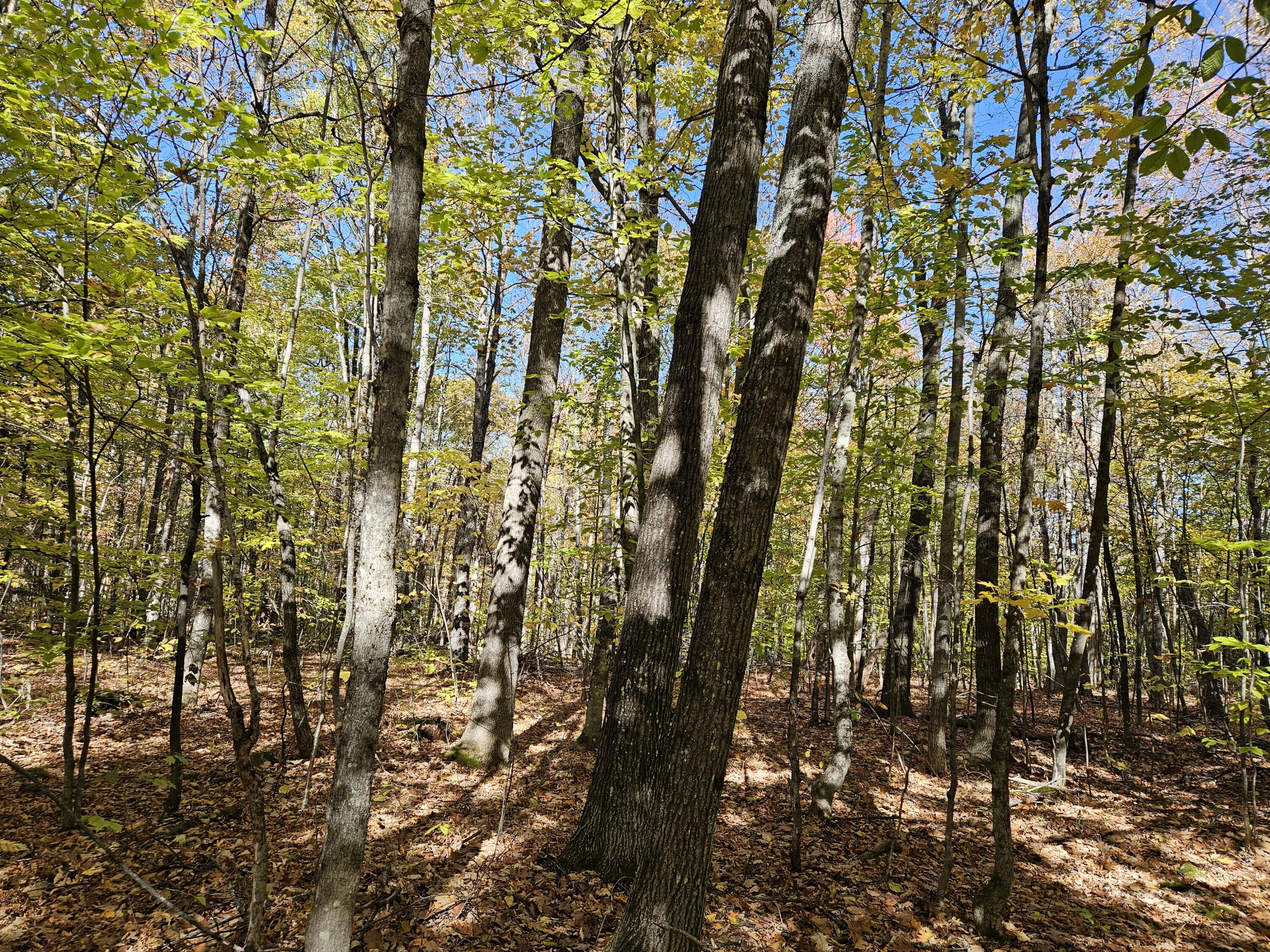 0 Canton Mountain Road Canton ME 04221