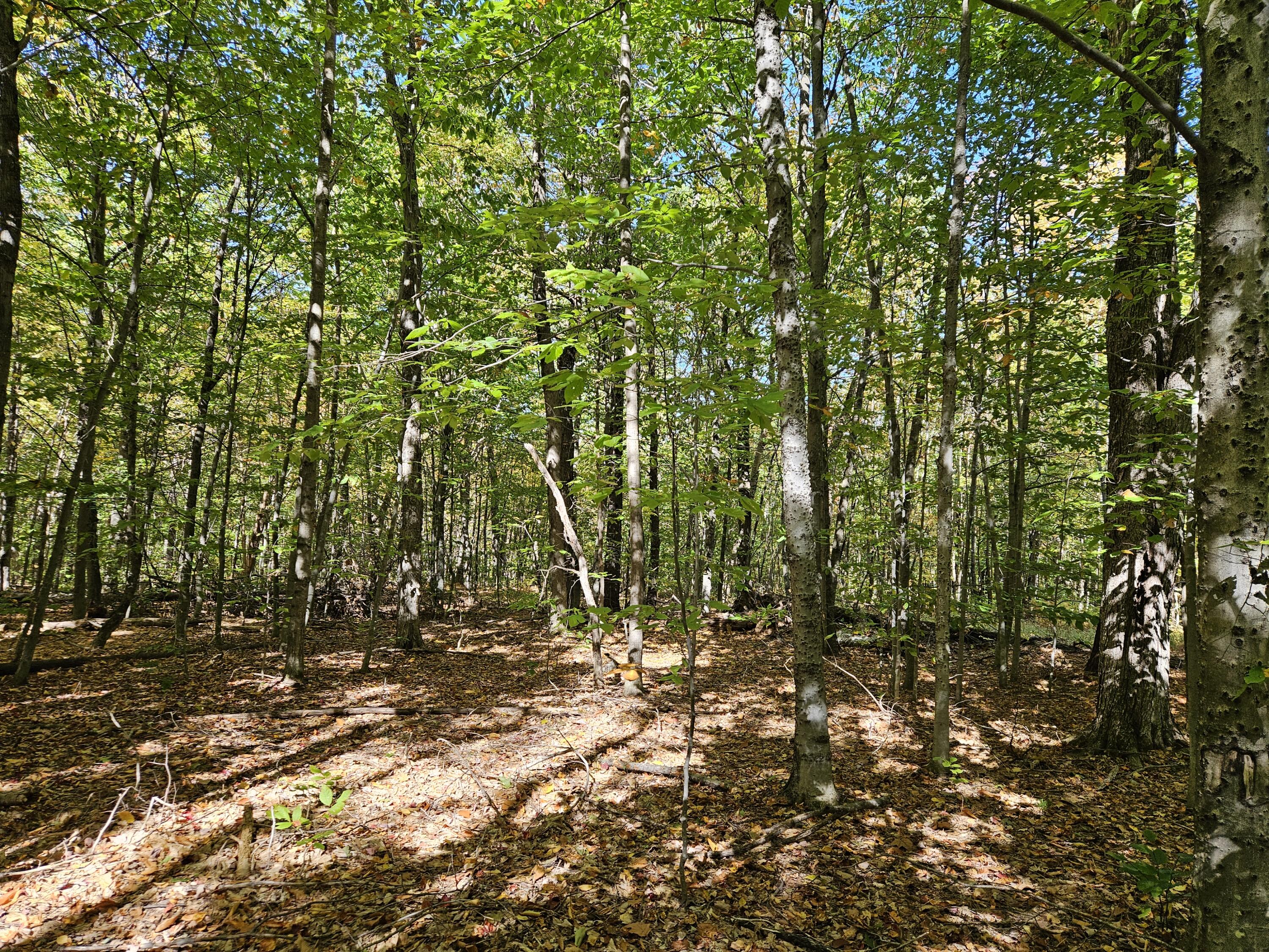 0 Canton Mountain Road Canton ME 04221