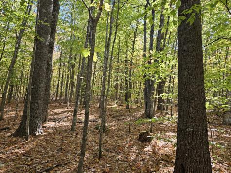 0 Canton Mountain Road Canton ME 04221