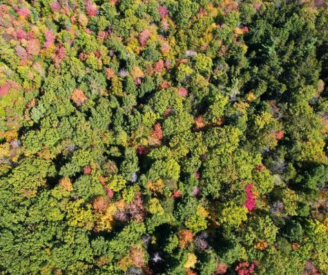 0 Canton Mountain Road Canton ME 04221