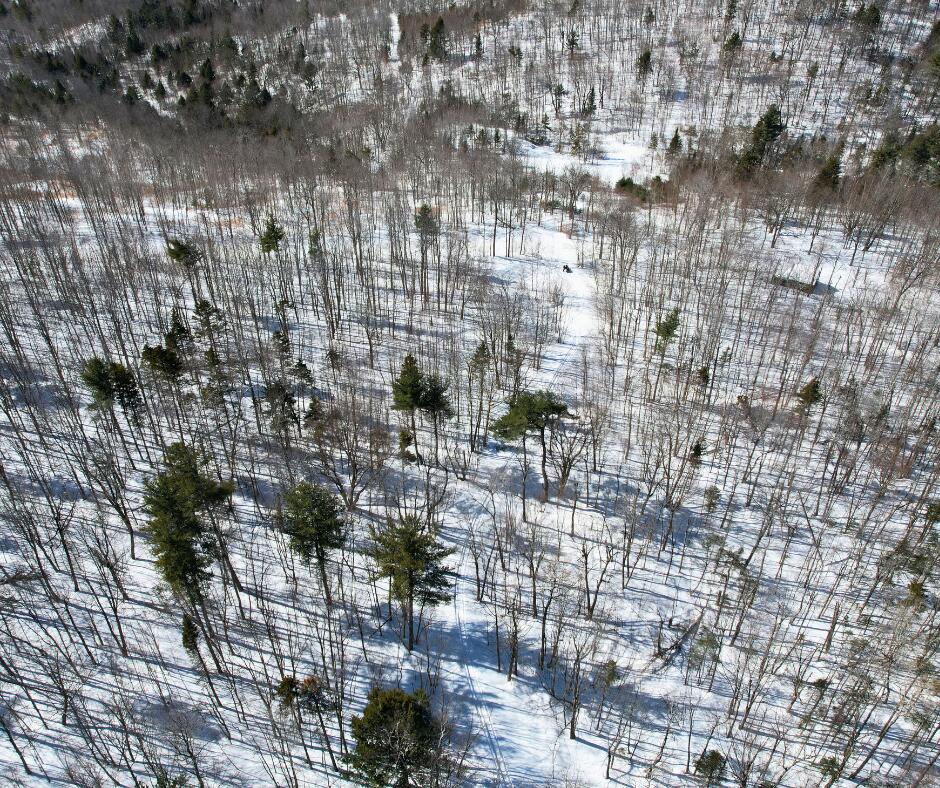 0 Canton Mountain Road Canton ME 04221