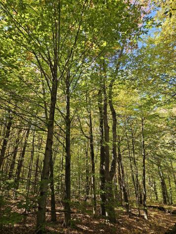 0 Canton Mountain Road Canton ME 04221