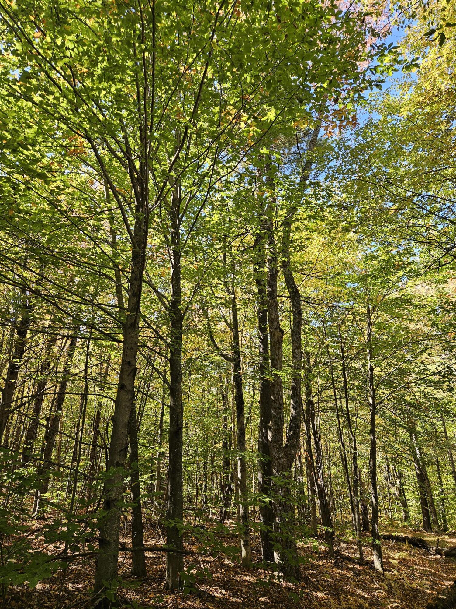 0 Canton Mountain Road Canton ME 04221