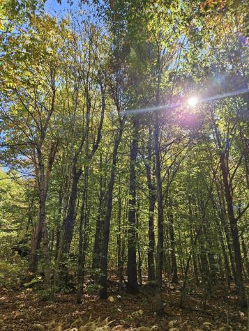 0 Canton Mountain Road Canton ME 04221