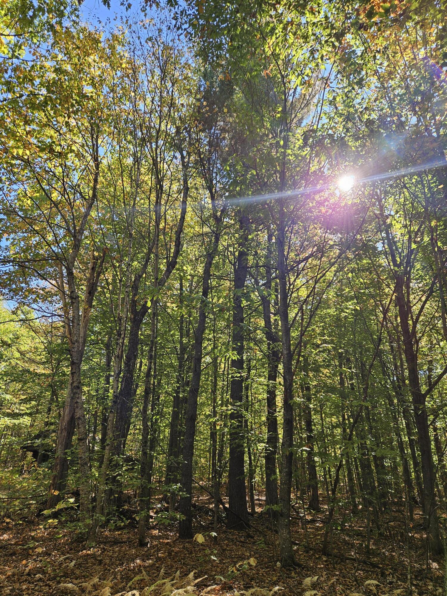 0 Canton Mountain Road Canton ME 04221