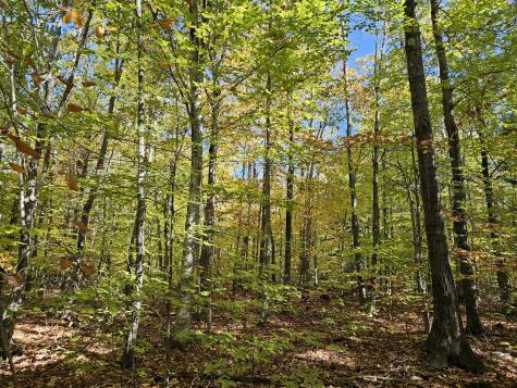 0 Canton Mountain Road Canton ME 04221