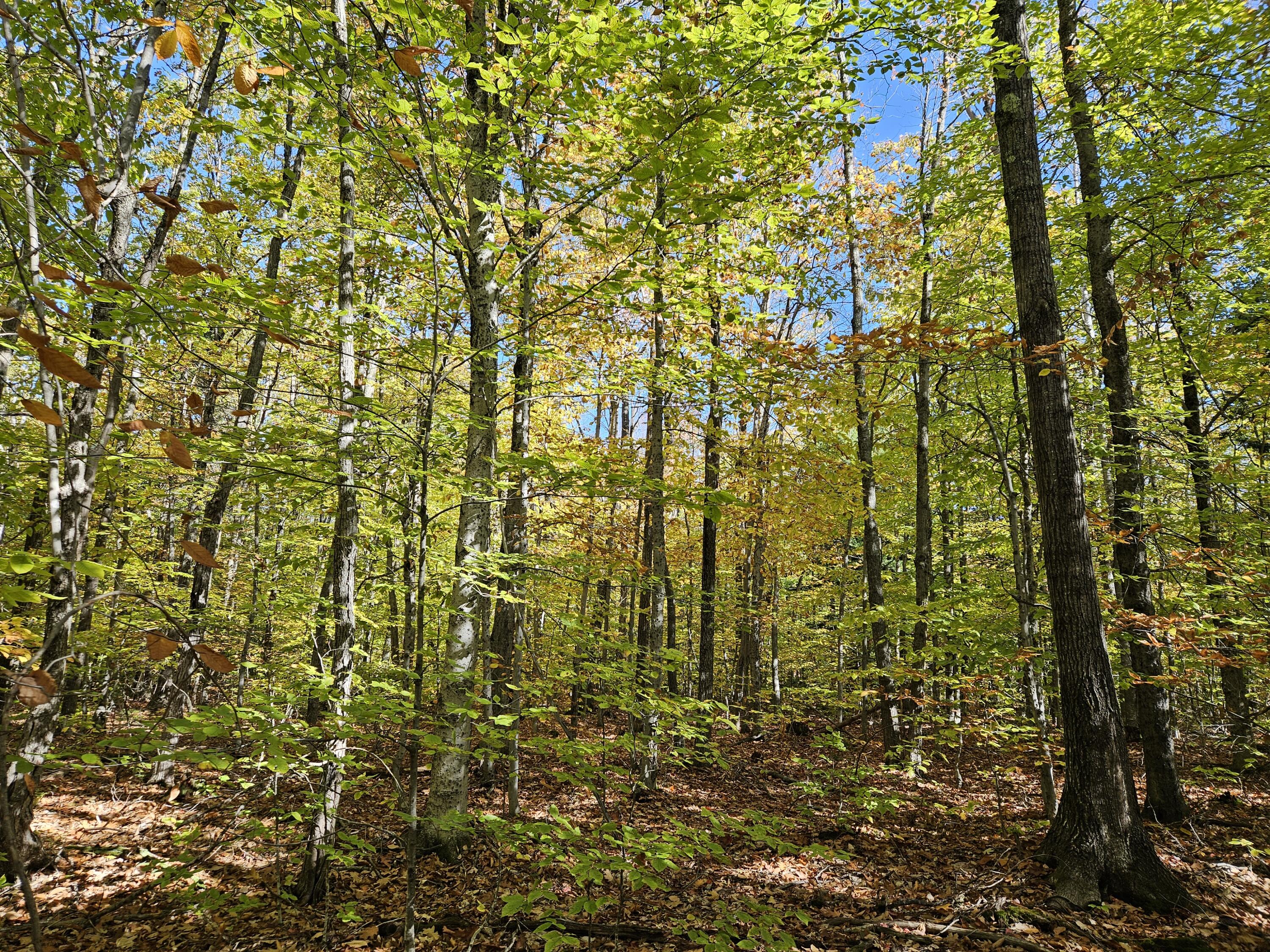 0 Canton Mountain Road Canton ME 04221