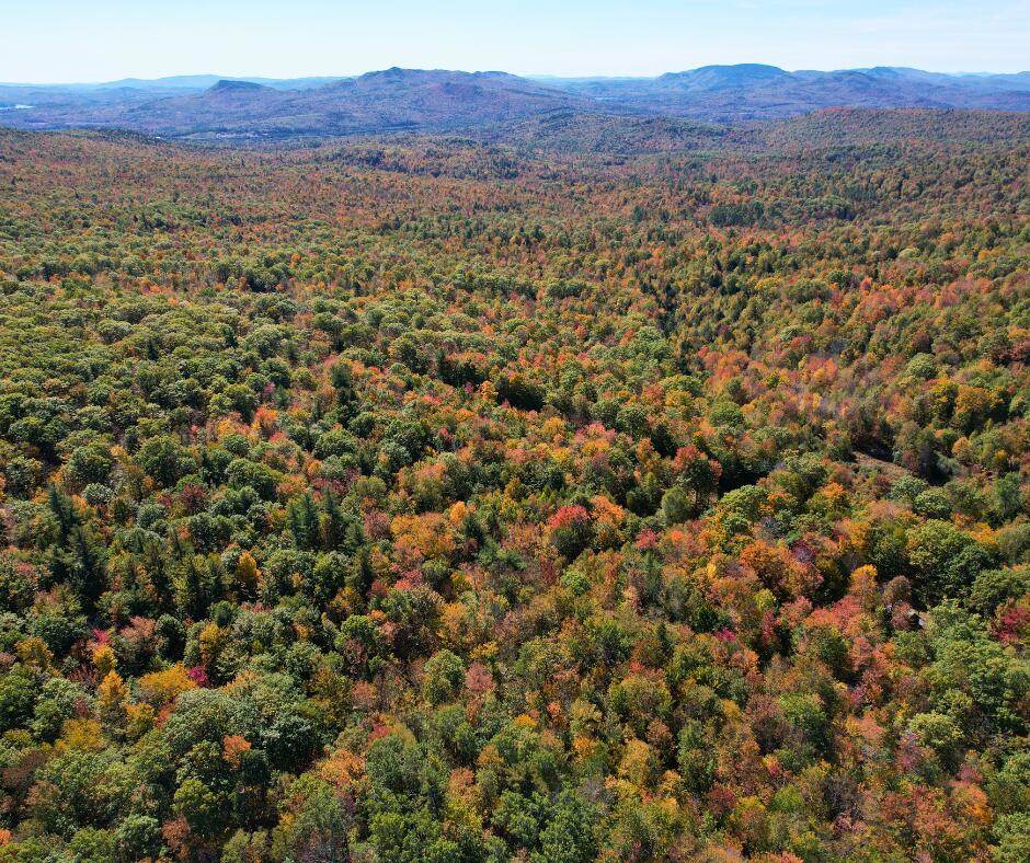 0 Canton Mountain Road Canton ME 04221