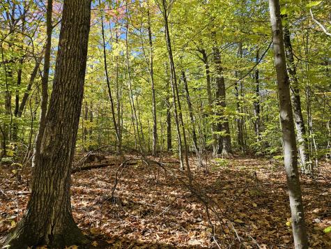 0 Canton Mountain Road Canton ME 04221