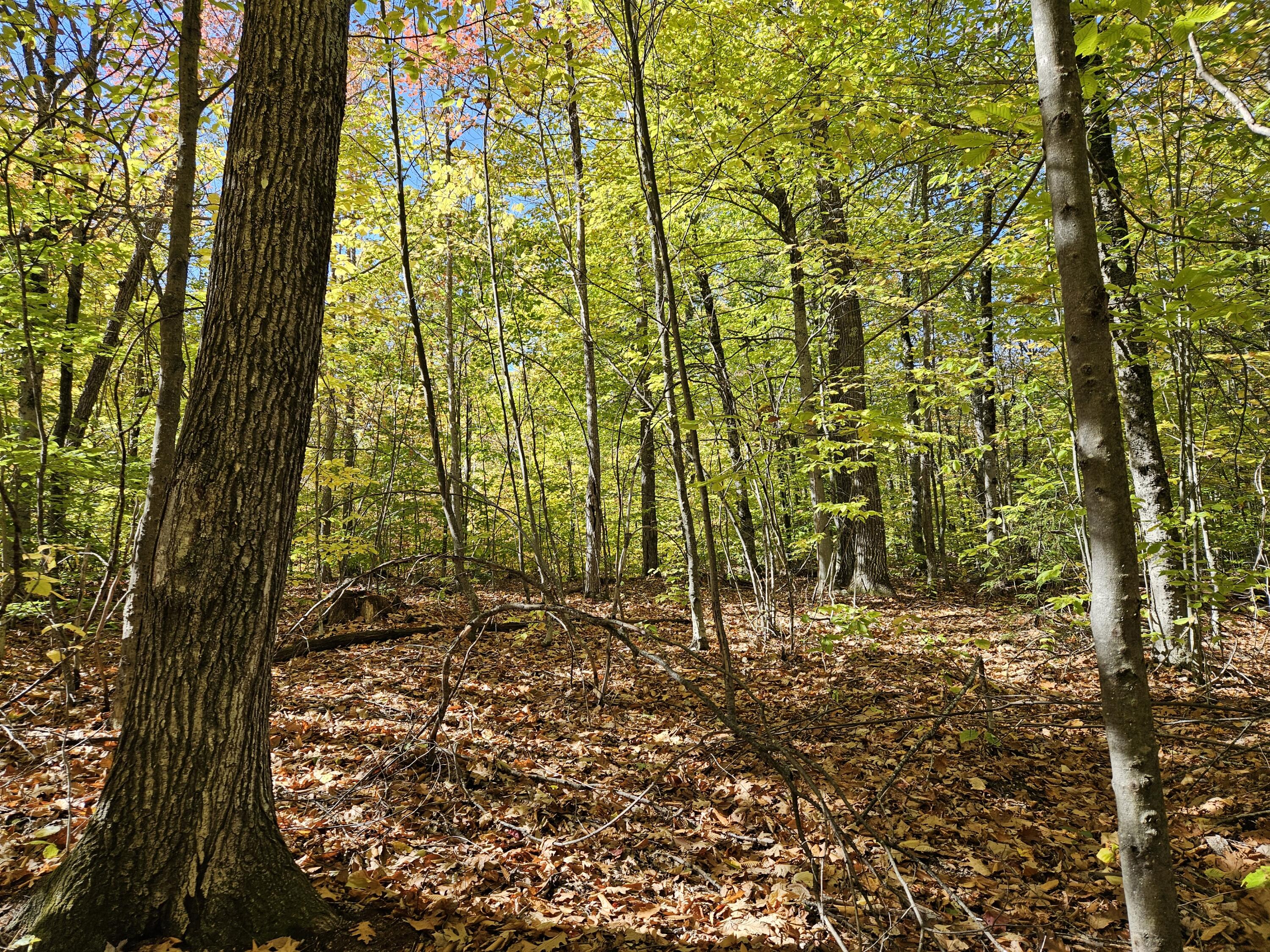 0 Canton Mountain Road Canton ME 04221