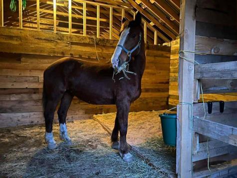 24 Fickett Lane Solon ME 04979