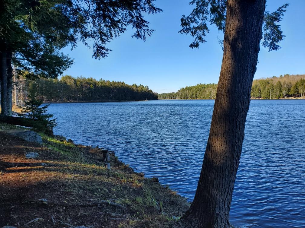 35 Ledgeview Drive Sabattus ME 04280