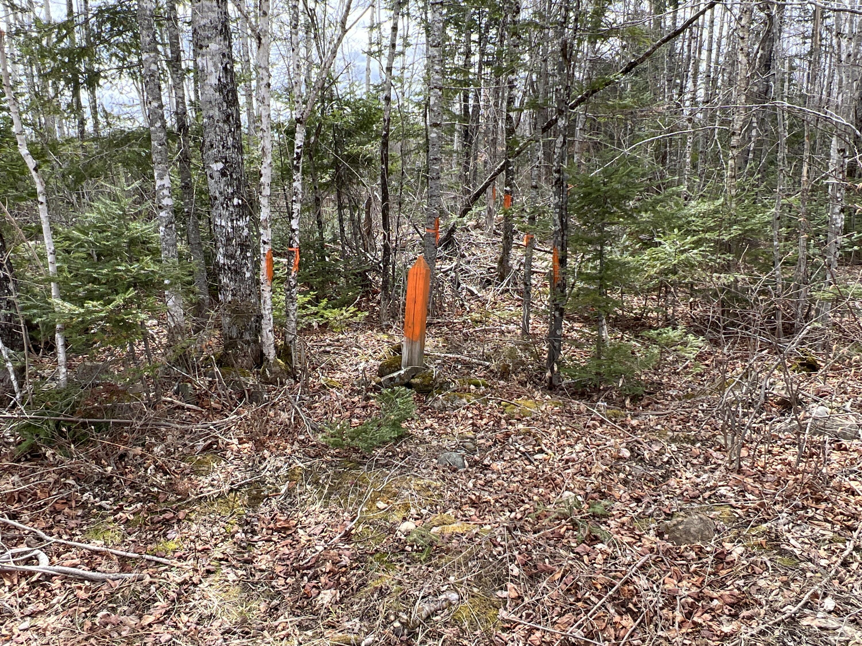 387 Monument Road Amity ME 04471