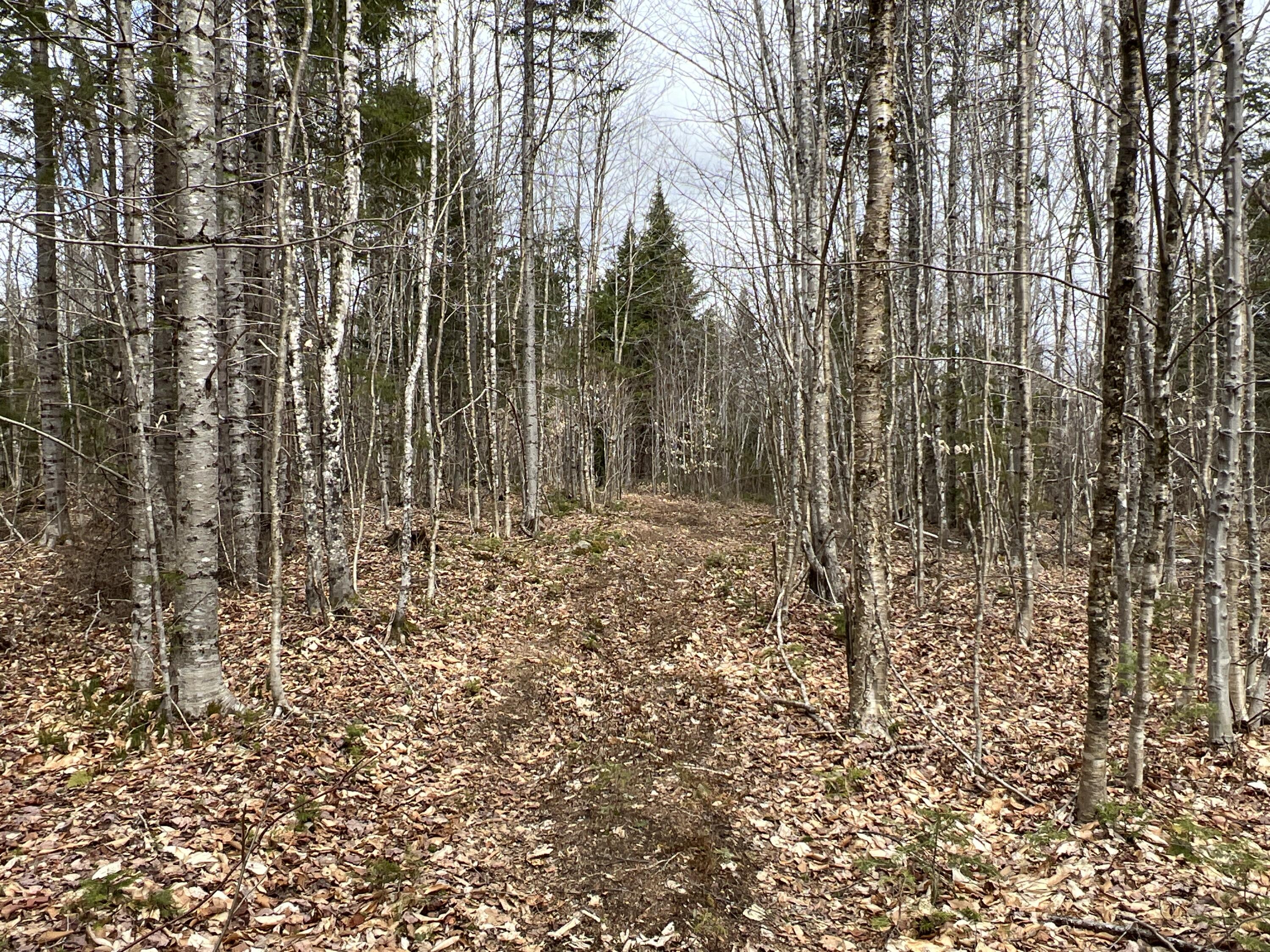 387 Monument Road Amity ME 04471