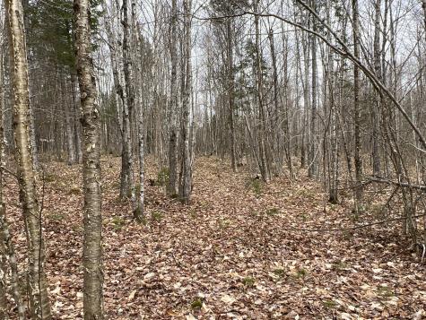 387 Monument Road Amity ME 04471