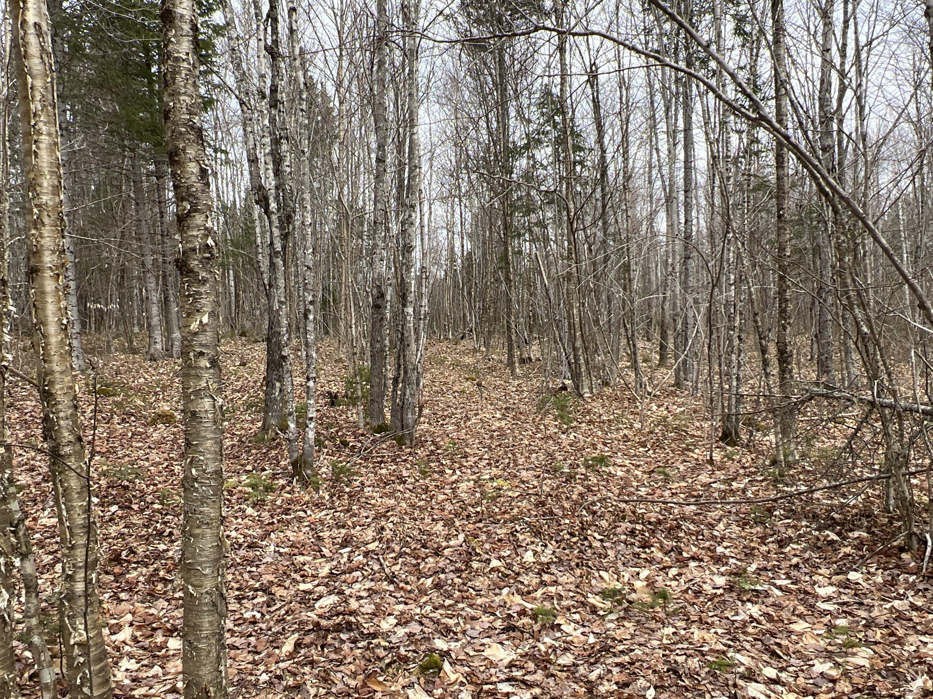 387 Monument Road Amity ME 04471