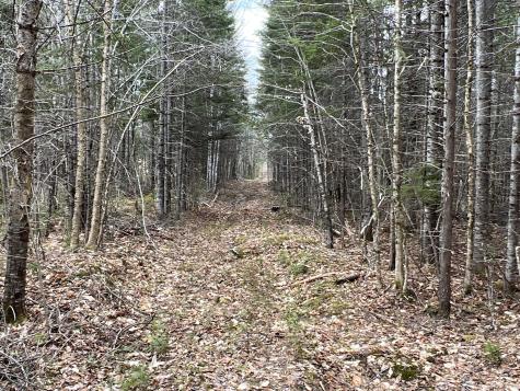 387 Monument Road Amity ME 04471