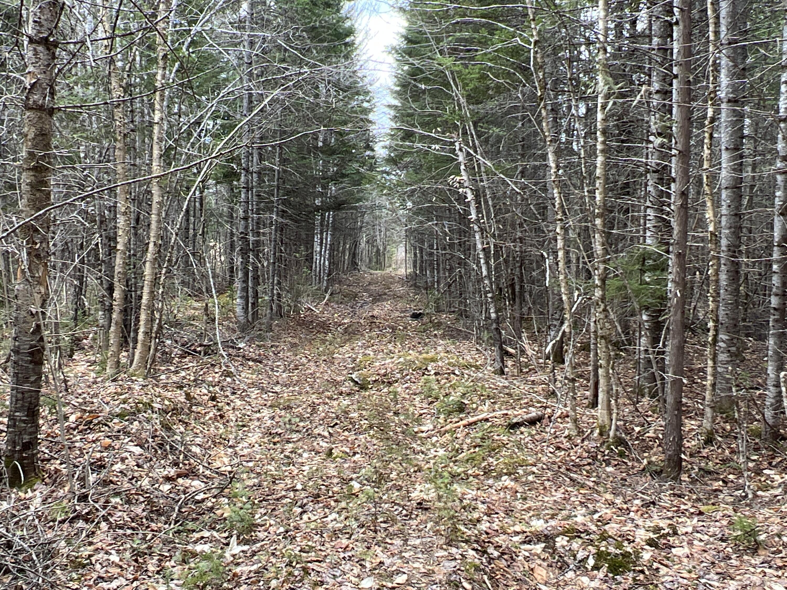 387 Monument Road Amity ME 04471