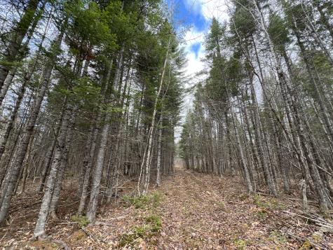 387 Monument Road Amity ME 04471