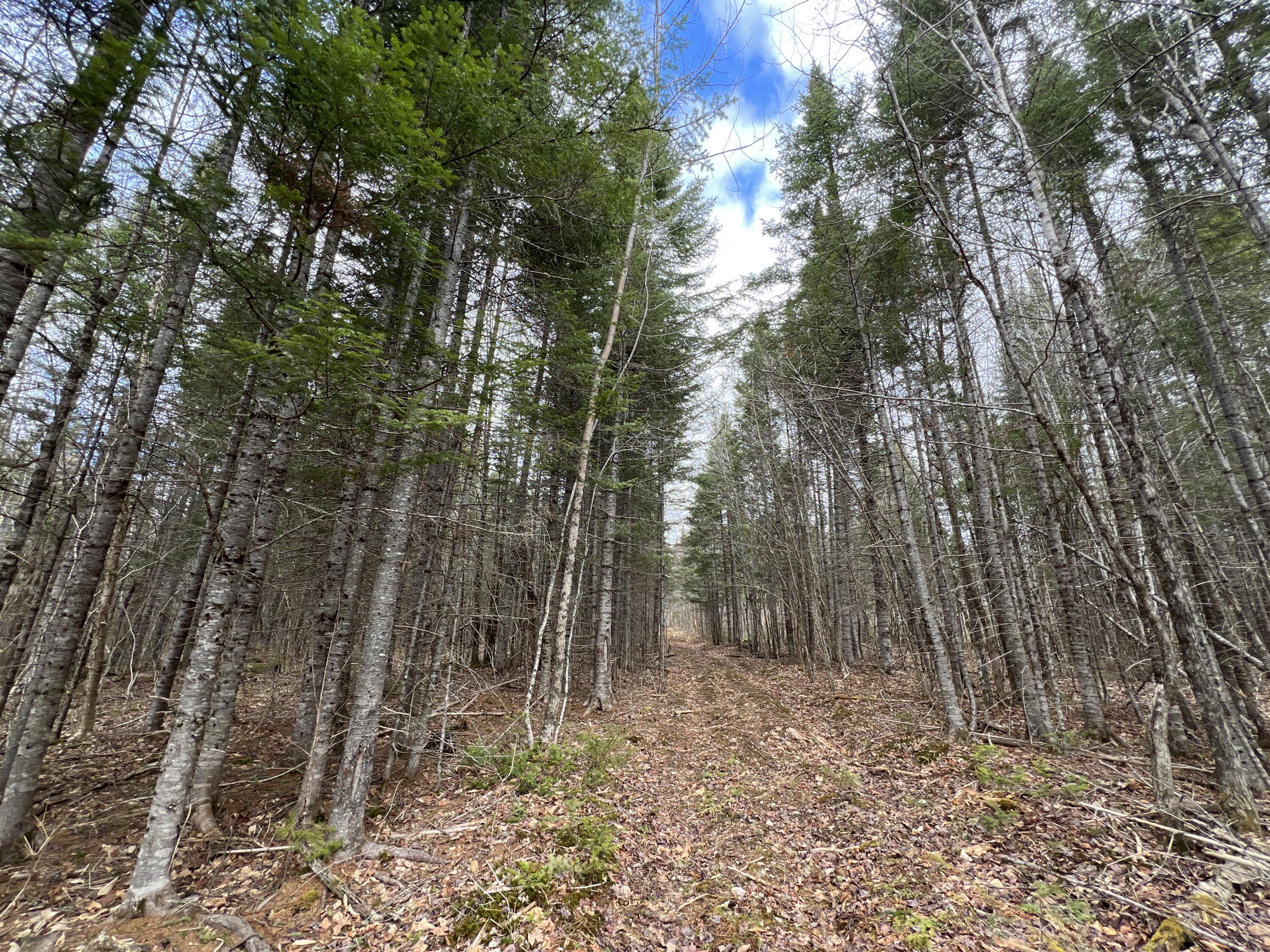 387 Monument Road Amity ME 04471