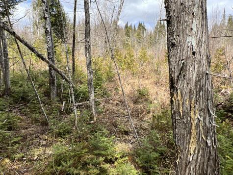 387 Monument Road Amity ME 04471