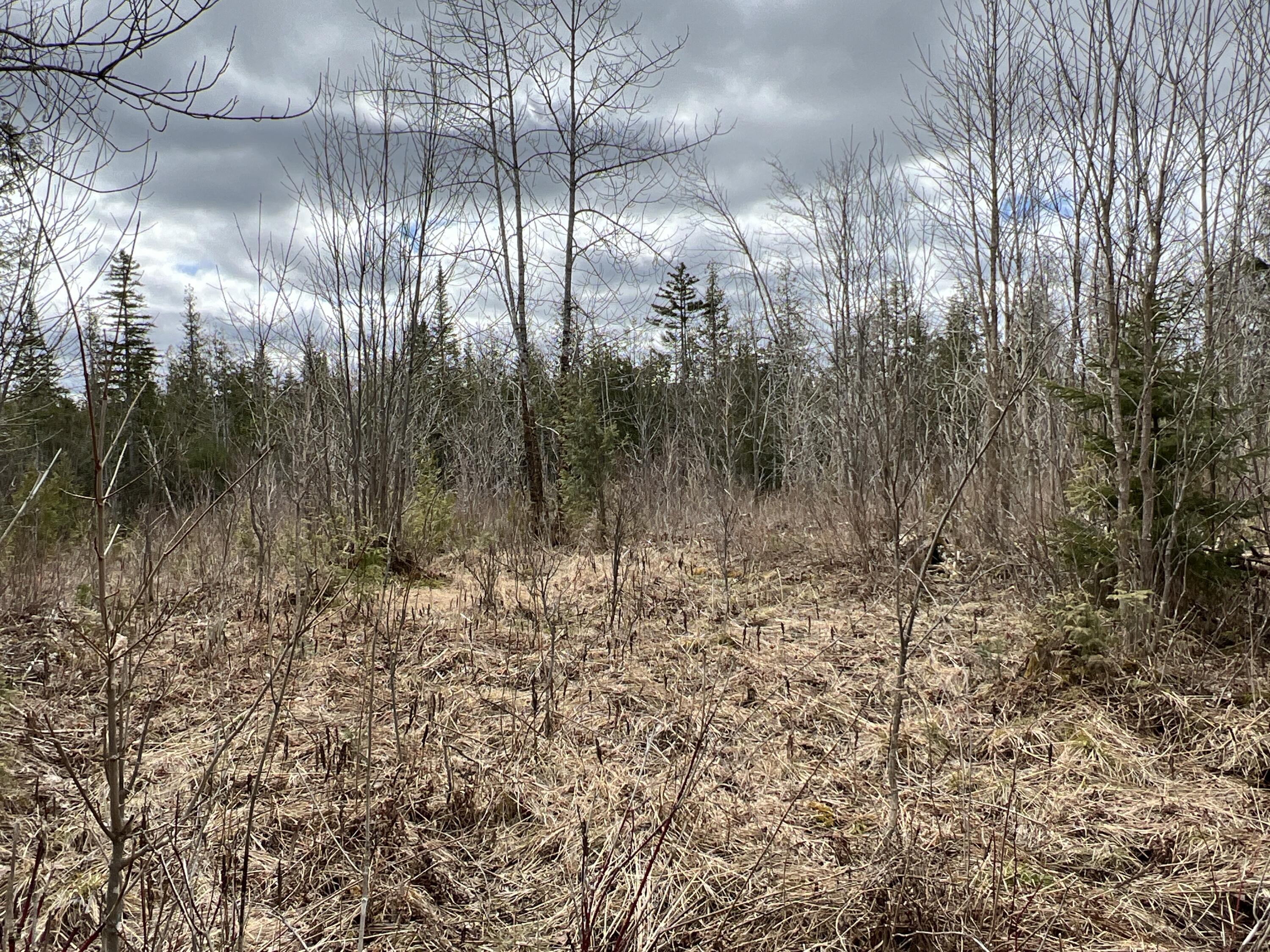 387 Monument Road Amity ME 04471